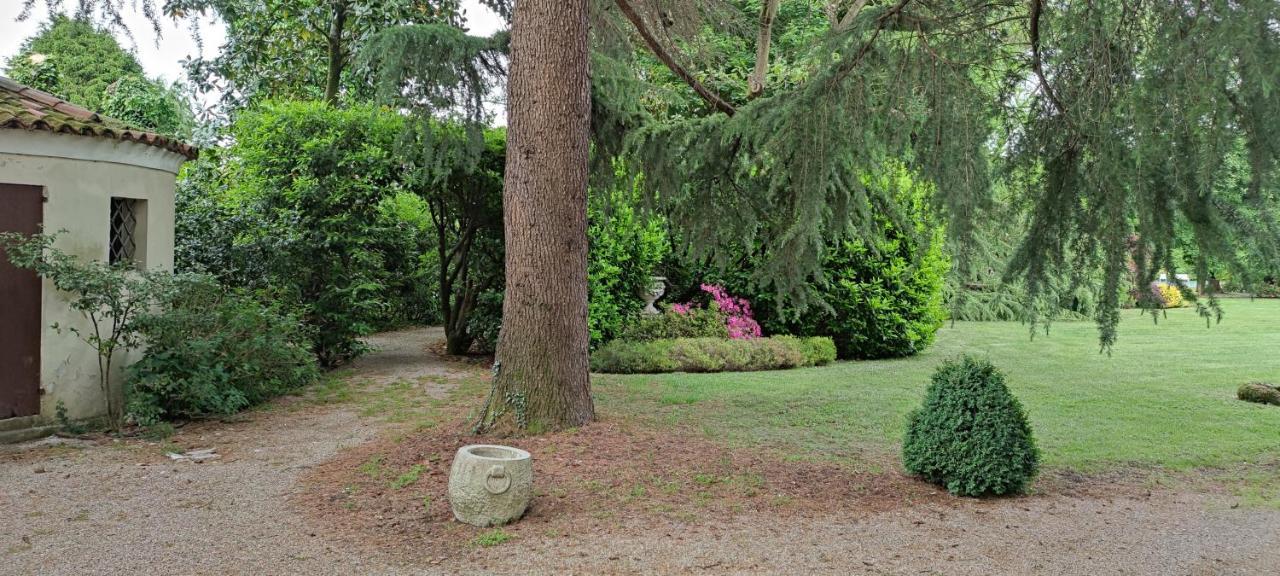 Villa Zane Тревизо Экстерьер фото